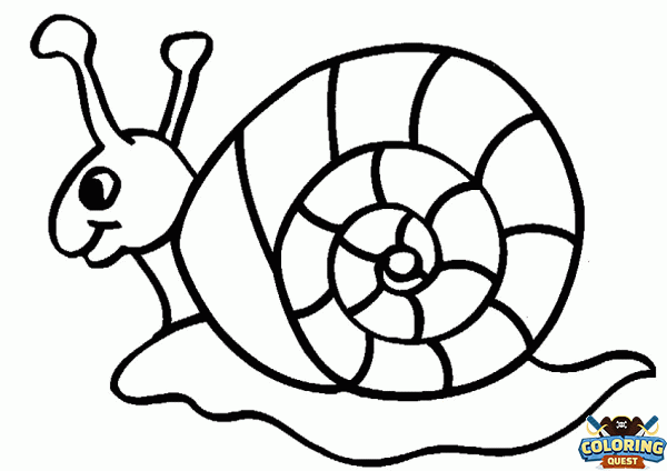 Snail coloring