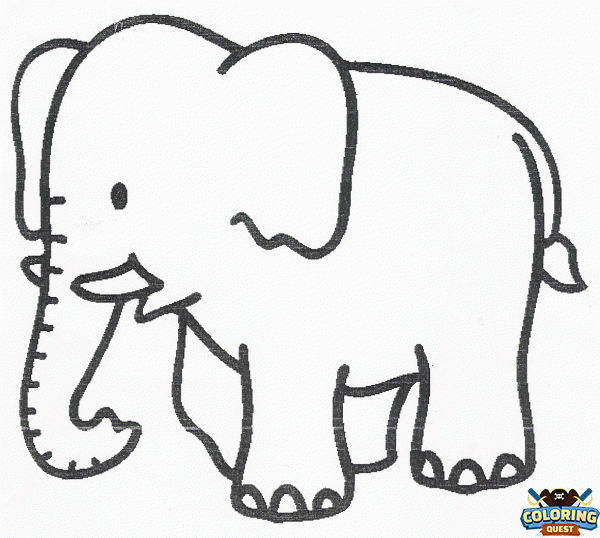 Elephant coloring