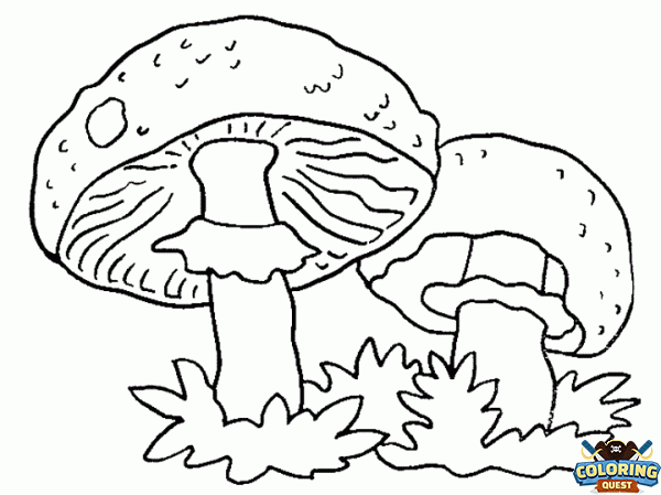 Mushrooms coloring