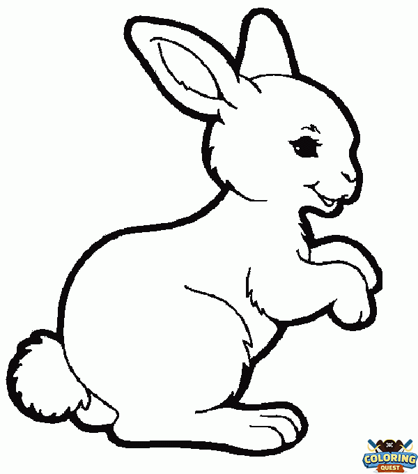 Little hopping bunny coloring