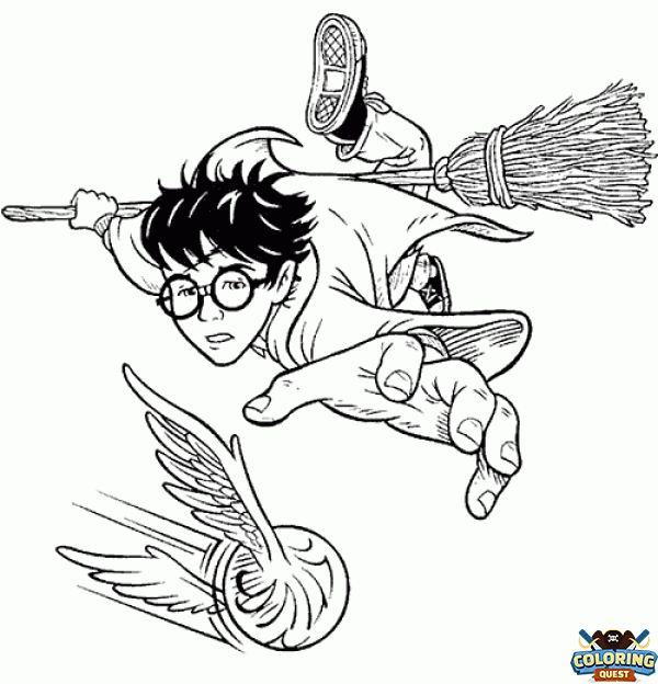 Harry Potter and the Quidditch Match coloring