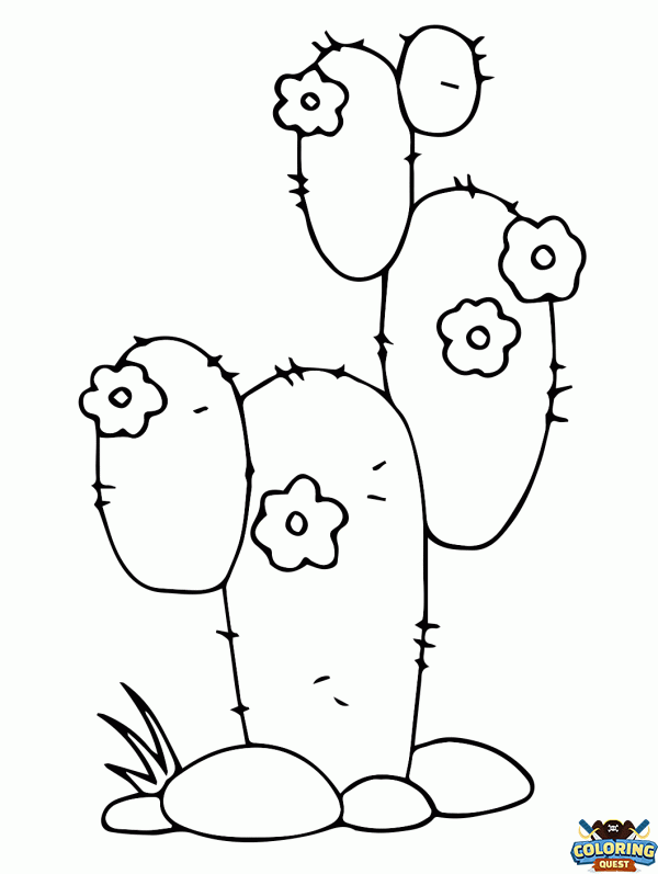 Cactus coloring