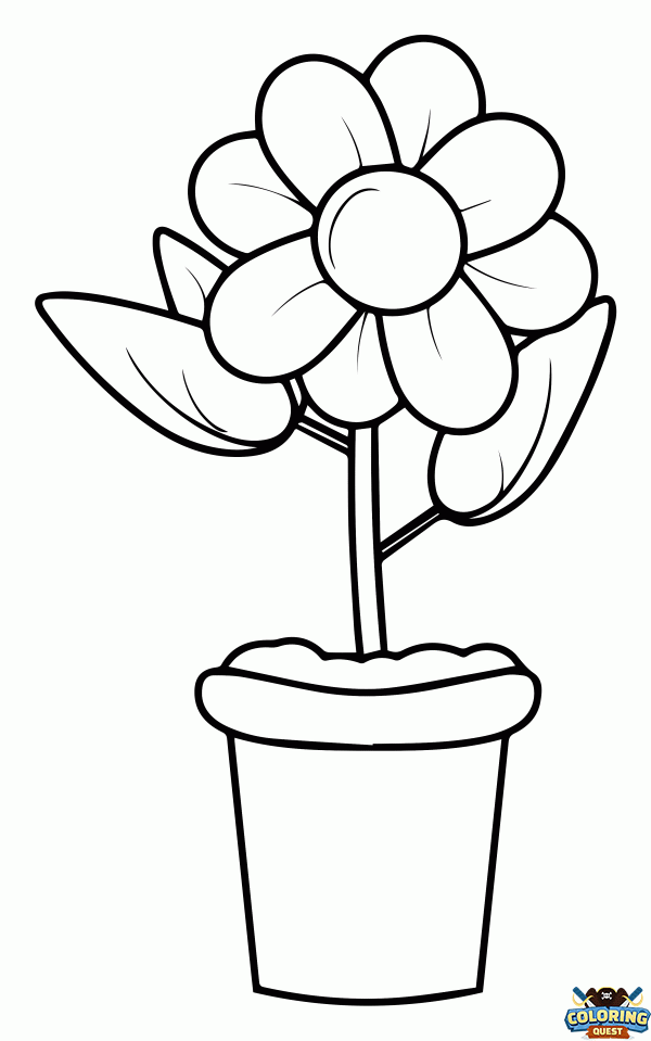 Flower pot coloring