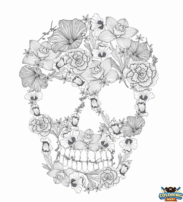 Ornate Skull coloring