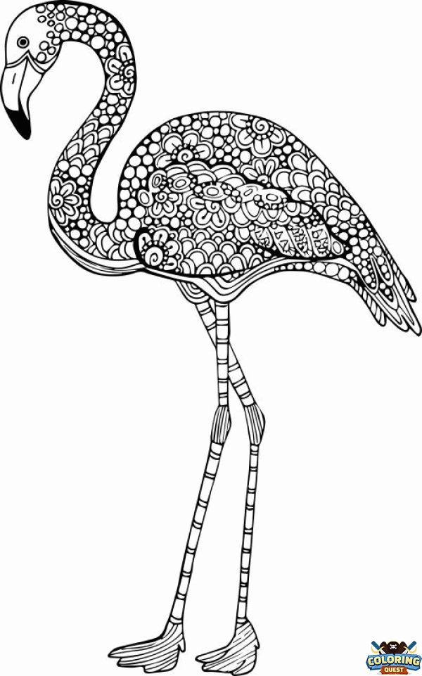 Flamingo - Mandala coloring