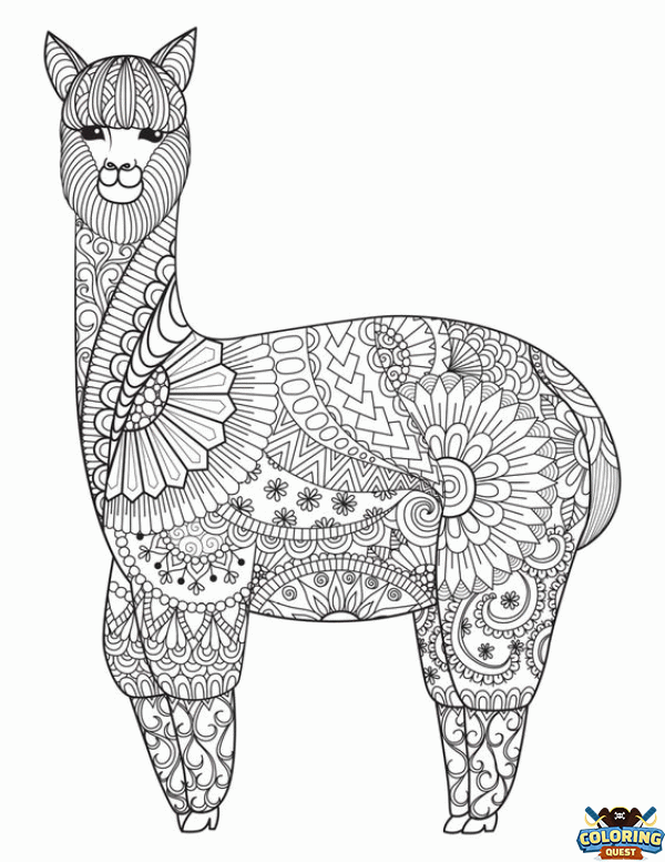 Llama - Mandala coloring
