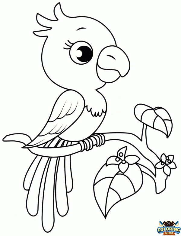 Pretty Parrot to Print coloring