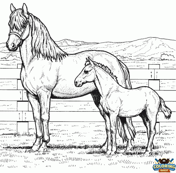 A mare and her foal coloring