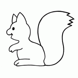 Squirrel coloring