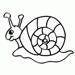 Snail coloring