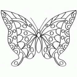 Pretty butterfly coloring