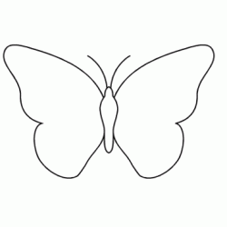 White butterfly coloring