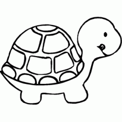 Small turtle coloring