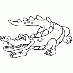 Crocodile coloring