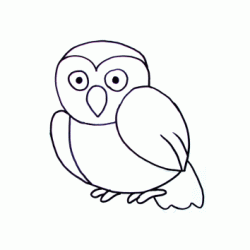 Cute owl coloring