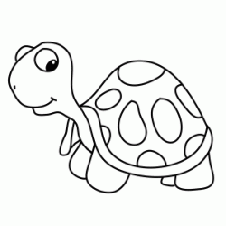 Cute turtle coloring
