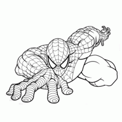 Spiderman coloring