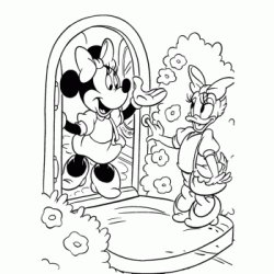 Minnie and Daisy coloring