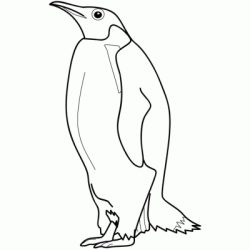 Penguin standing upright coloring
