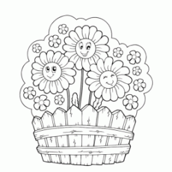 Pretty daisies coloring