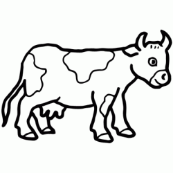 Cow coloring