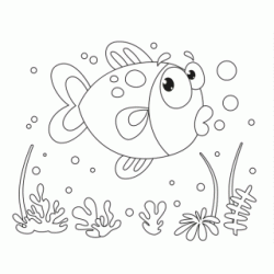 bubble the fish coloring