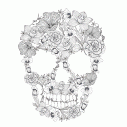 Ornate Skull coloring