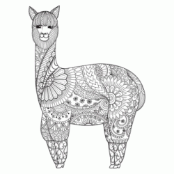 Llama - Mandala coloring