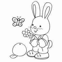 Little Bunny and Flower coloring