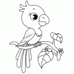 Pretty Parrot to Print coloring