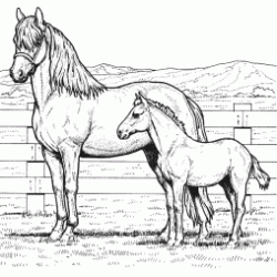A mare and her foal coloring