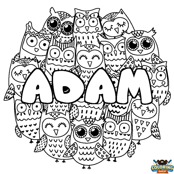 Coloring page first name ADAM - Owls background