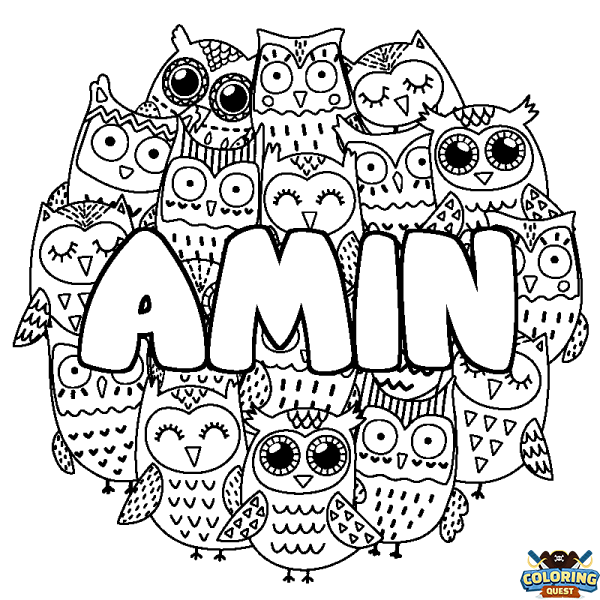 Coloring page first name AMIN - Owls background