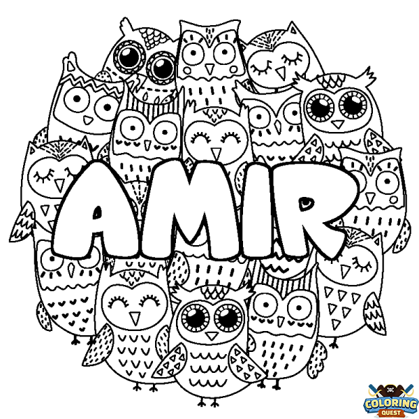 Coloring page first name AMIR - Owls background