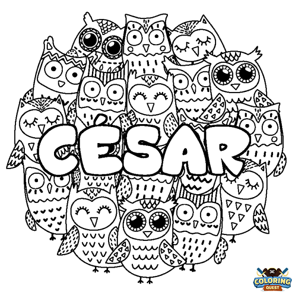 Coloring page first name C&Eacute;SAR - Owls background