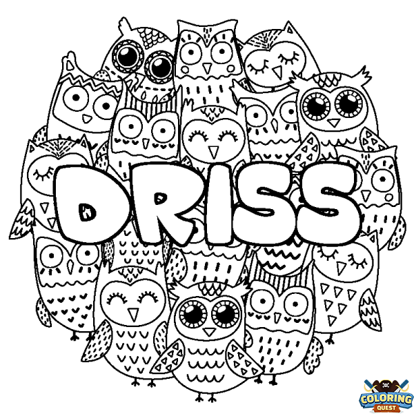 Coloring page first name DRISS - Owls background