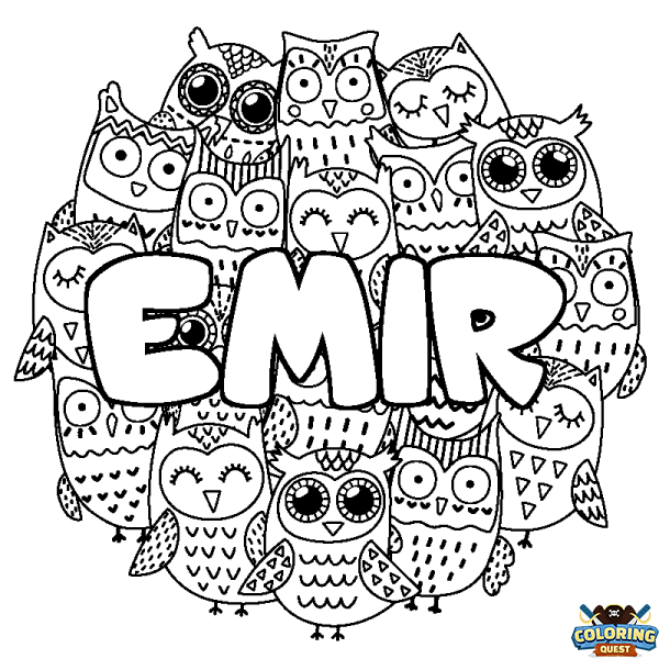 Coloring page first name EMIR - Owls background