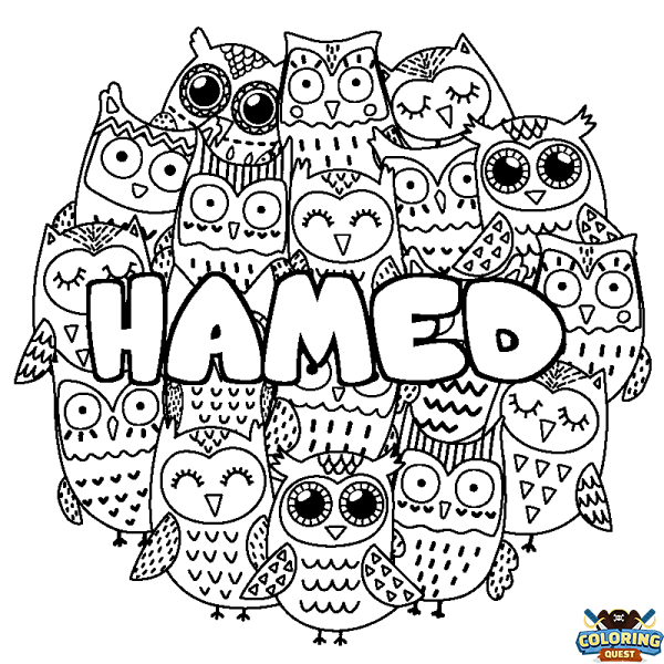 Coloring page first name HAMED - Owls background