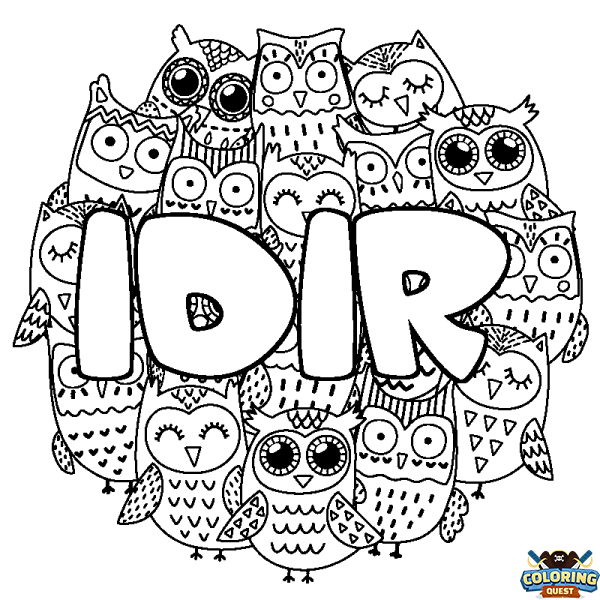 Coloring page first name IDIR - Owls background