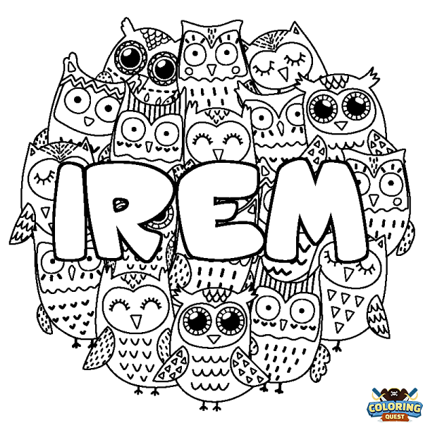 Coloring page first name IREM - Owls background