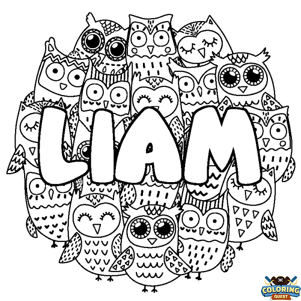 Coloring page first name LIAM - Owls background