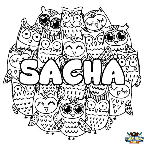 Coloring page first name SACHA - Owls background