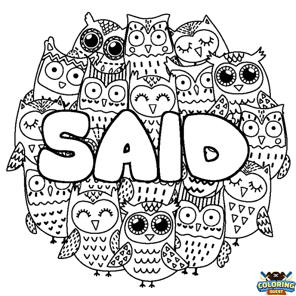 Coloring page first name SAID - Owls background