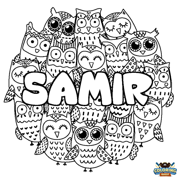 Coloring page first name SAMIR - Owls background