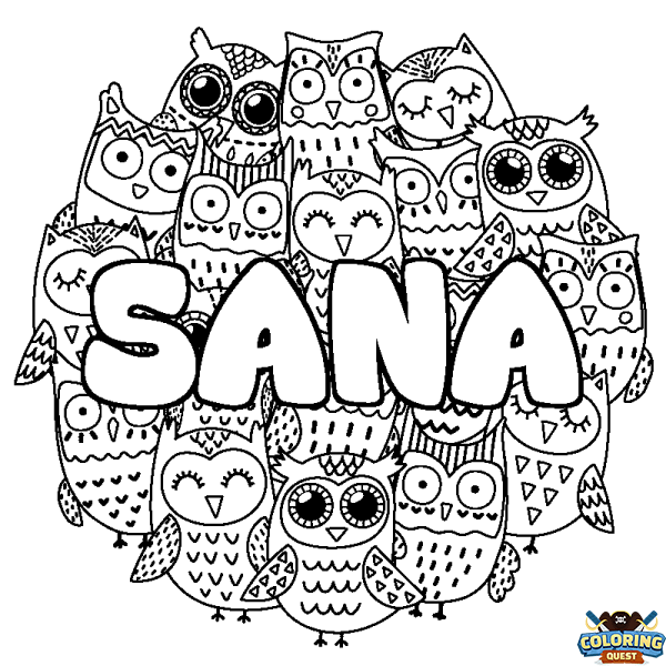 Coloring page first name SANA - Owls background