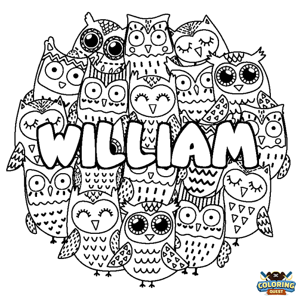 Coloring page first name WILLIAM - Owls background