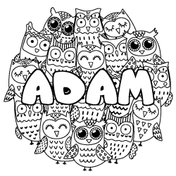 Coloring page first name ADAM - Owls background