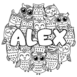 Coloring page first name ALEX - Owls background