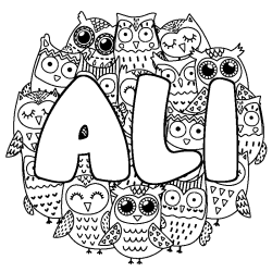 ALI - Owls background coloring