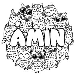 Coloring page first name AMIN - Owls background